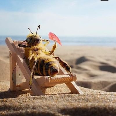 your_meister's profile picture. I am available for fun😍❤️