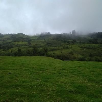 xctimI's profile picture. 