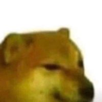 kerhane vip (@kerhanevip) Twitter profile photo