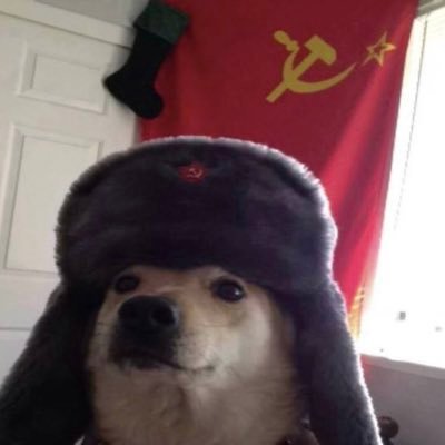 OgChief1991's profile picture. 