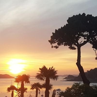 DeruLaouenan's profile picture. Responsable Pôle Professionnels et Patrimoine Lannion - Crédit Mutuel 🅰️RKEA @CMBretagne @UTCMBLannion @cmarkea @LannionPro