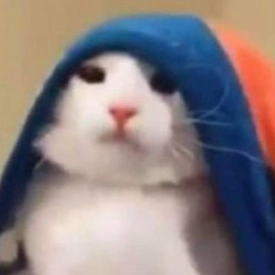 yadirapilar's profile picture. 