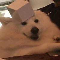 CEKC (@ceeeeekc) 's Twitter Profile Photo CEKC (@ceeeeekc) 's Twitter Profile Photo