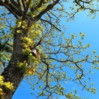 Catherine Ménabé (@catherinemenabe) 's Twitter Profile