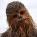 Stewbacca (@kevinpstewart) Twitter profile photo Stewbacca (@kevinpstewart) Twitter profile photo