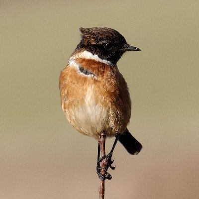 CrossPhotogr1's profile picture. Photography