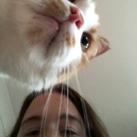 Tati (@tatertatis) 's Twitter Profile