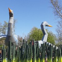 Blank thoughts (@boilerroom) 's Twitter Profile