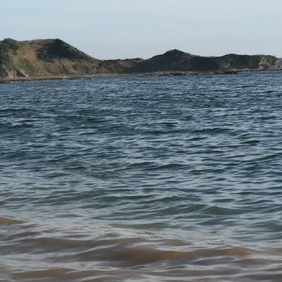 NXG8wM0VEUFjr7g's profile picture. 💩系裏アカ💨 見たいし見せたい願望あり 無言フォローですが宜しくお願いします DMお待ちしてます👌