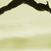 lukwe (@lukwe) Twitter profile photo lukwe (@lukwe) Twitter profile photo