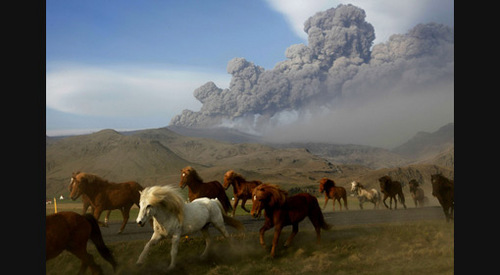 yourbodyhappier's profile picture. Sharing info to make bodies and minds healthier, therefore happier