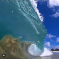 H2O (@h20hog1811) 's Twitter Profile