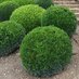 HedgeMyBalls (@my_hedge) Twitter profile photo HedgeMyBalls (@my_hedge) Twitter profile photo