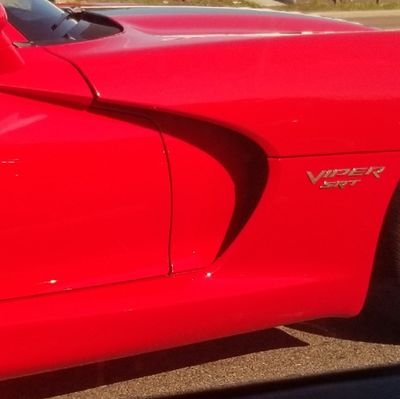 Wolfmeister10's profile picture. 