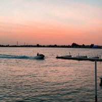 قاسم القرني (@qasimalq1) 's Twitter Profile