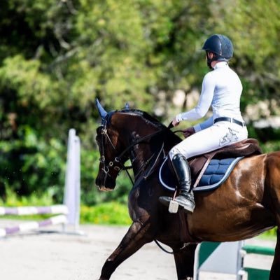 Aussie Exracehorses