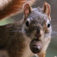 Swale Studio (@swalestudio) 's Twitter Profile