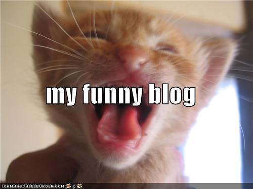 FunnyBlog's profile picture. i have a new blog out i will post funny stuff pics videos but i want you my people to help me to so send me some pics,videos,and other funny stuff thnx