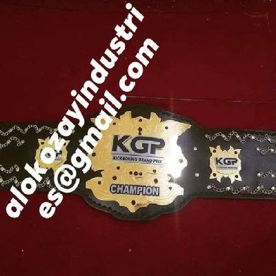 I am professional manufacturer and supplier of Championship belts and medal also some kind of sports wears and gears like boxing kick boxing MMA Muay Jiu jitsu