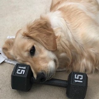 KarenDeSimoneWD's profile picture. 