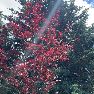 Gerard_Manning's profile picture. 