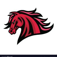Assumption Softball (@assumptionsoft2) Twitter profile photo