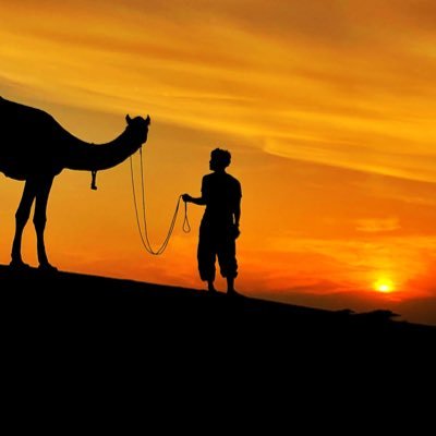 KEISUKE0_5_1_6's profile picture. k