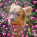 Haechan the Pudu💚 (@haechanthepudu) Twitter profile photo Haechan the Pudu💚 (@haechanthepudu) Twitter profile photo