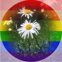 Beldys Hernandez (@beldysh) 's Twitter Profile