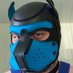 Cub Quix (@cub_pig) Twitter profile photo Cub Quix (@cub_pig) Twitter profile photo