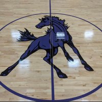 SEM MUSTANGS (@semmustangs) 's Twitter Profile