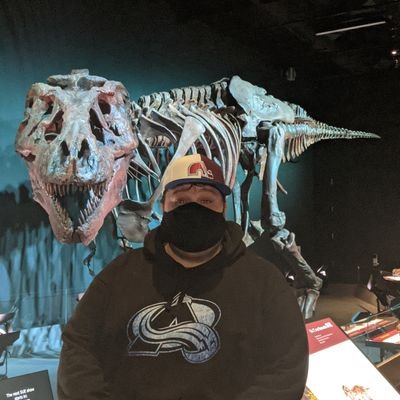 Python Programming, Hockey loving, League of Legends playing, Transformers & TMNT Collector. #GoAvsGo