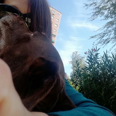 De izquierdas, republicana, adoro los animales, ā del Real Madrid y muy madrileƱa. š«NO DMš«
Sin mentiras...
Mi mes ABRIL