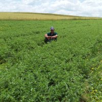 Sěřďãřcã (@serdar06hzr) Twitter profile photo