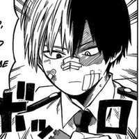 TODOROKI (@todognocchi) 's Twitter Profile Photo