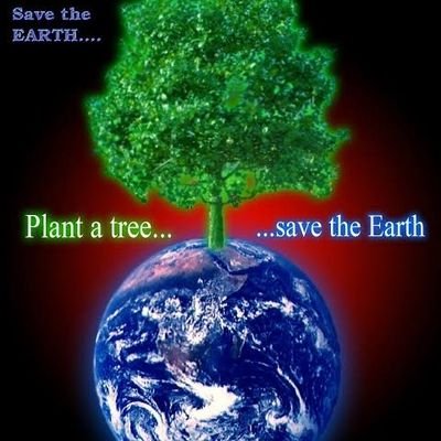 Save Trees🌳Save Earth 🌍