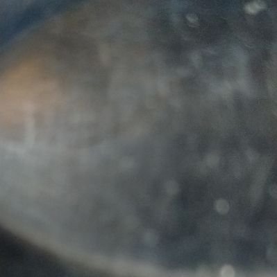 Mojo15374361's profile picture. 