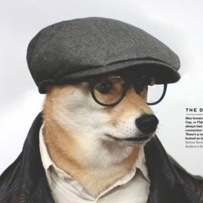 vr user; food enthusiast; robot psychologist;probably not a dog