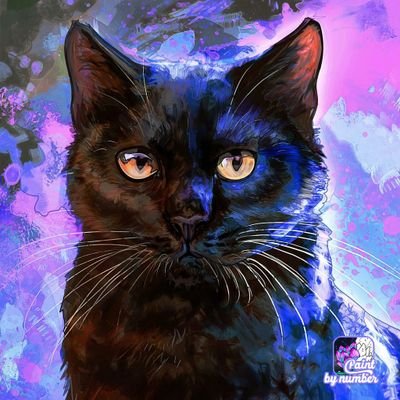 dla_acp's profile picture. 💜😸💜
inSomnia, N.Fia, Jr. EXILE & NEO EXILE