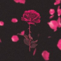 deep's picks (@deepspicks) 's Twitter Profile