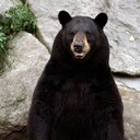 Aaron Ginn - @GinnAaron - Twitter