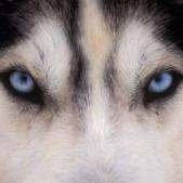 EPQbKaxm4pMxbPd's profile picture. 