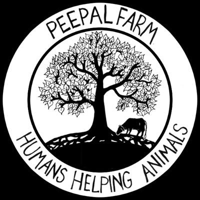 We are humans helping animals.