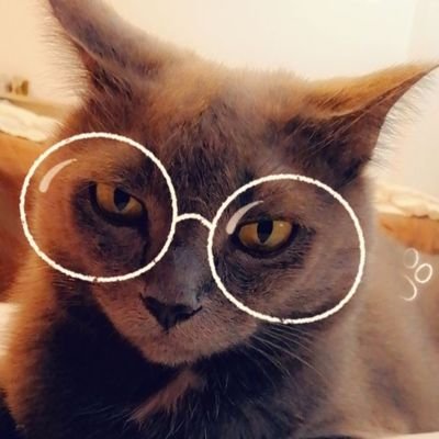 Honeybeeny1's profile picture. 