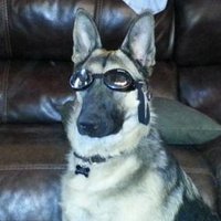 skeez (@skeeztf) Twitter profile photo