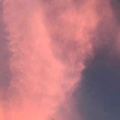 Ldfminterl's profile picture. 〚 "°^°`〛