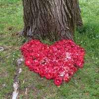 natascha (@natasch32833066) 's Twitter Profile Photo