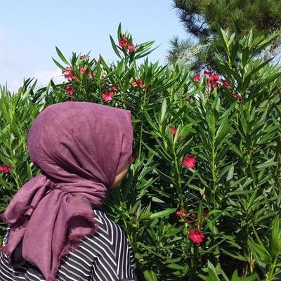 BaharSelcuk10's profile picture. 