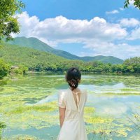 Shiho💖らくらく副業情報 (@shiho68835227) 's Twitter Profile