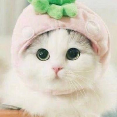 pwp677's profile picture. 🦁🐢 - ใครเป็นสาววาย ชั้นหนะสิๆ